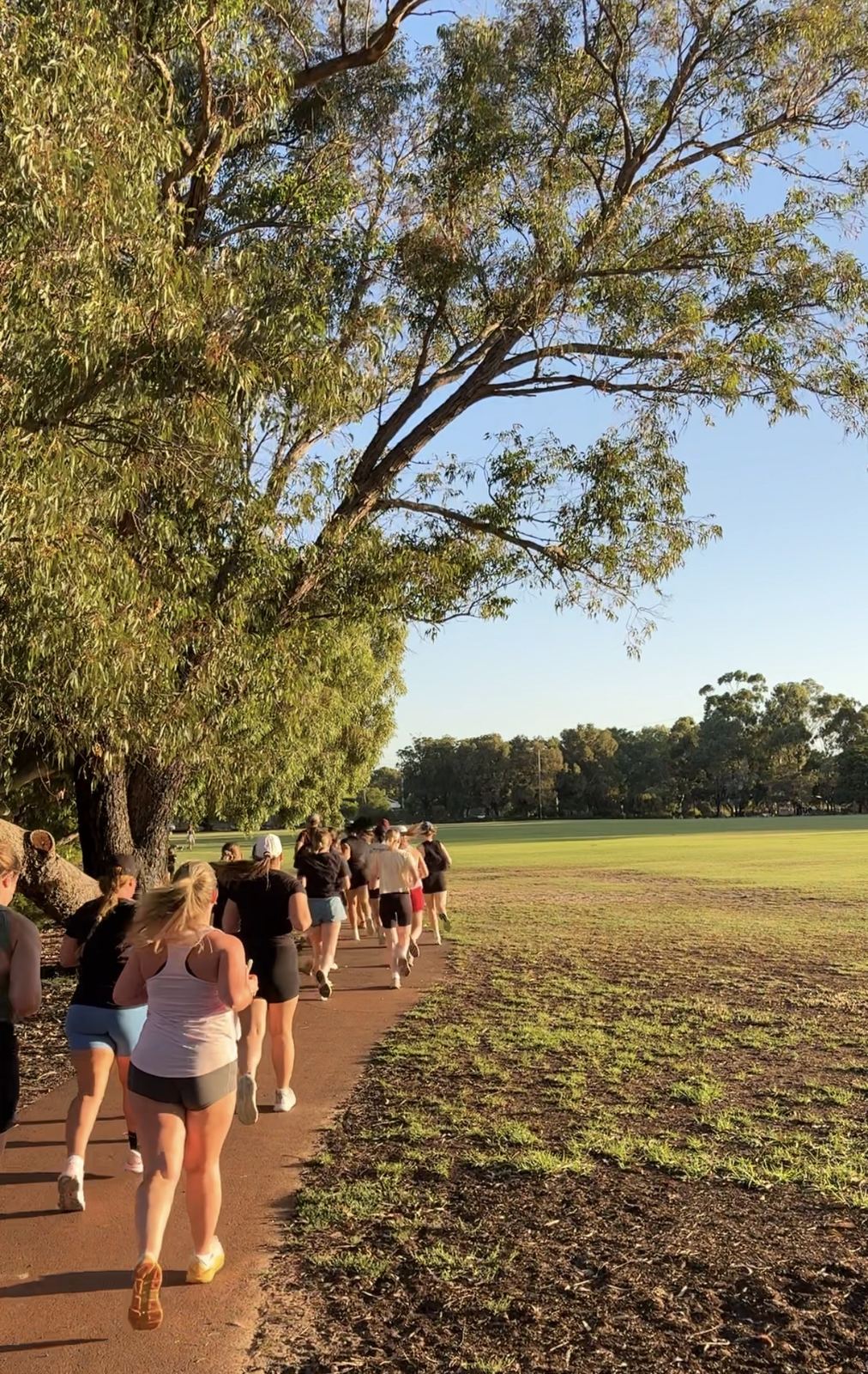 Group park run